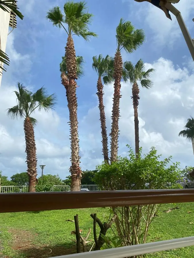Appartement Location vacances Fun sous les gommiers Sainte-Luce